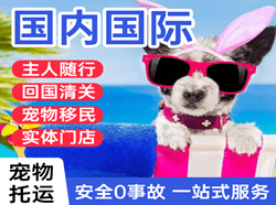 北戴河航空空运国际宠物托运 【国